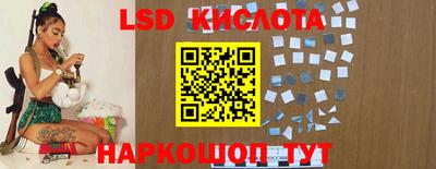 крисы Партизанск