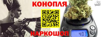 крисы Партизанск