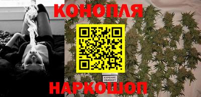 крисы Партизанск