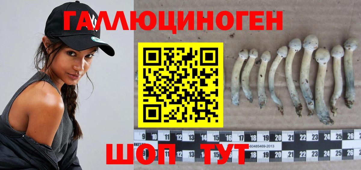 Галлюциногенные грибы Psilocybe  Вход с VPN  Ростов Великий 